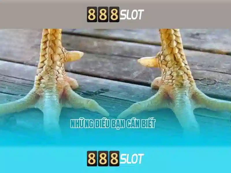 💎đường dây đánh bạc nghìn tỷ💎