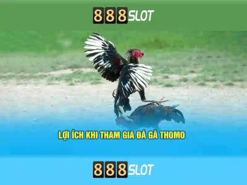 💎sin88 bet casino💎 - sin88 ho chi minh city - sin88 top