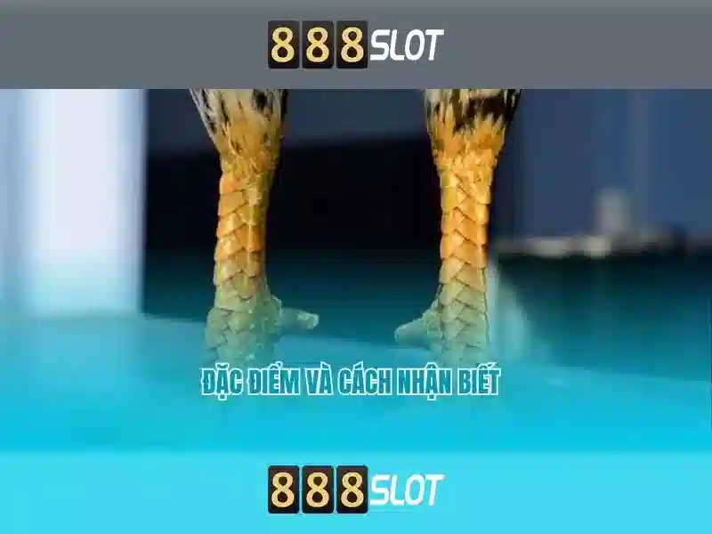 💎nhà cái uy tín 1xbeti💎