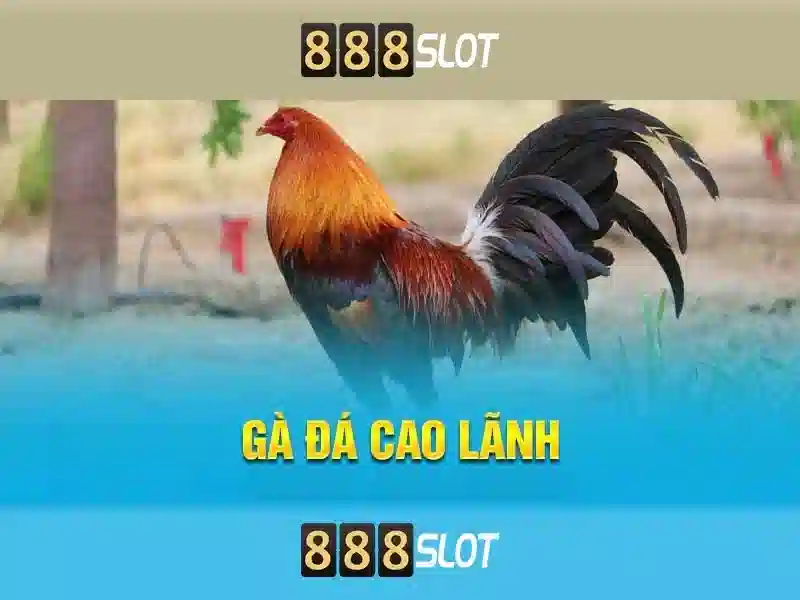 888slot – Trải nghiệm Casino Trực Tuyến Đỉnh Cao