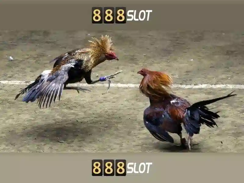 💎nha cai truc tuyen💎