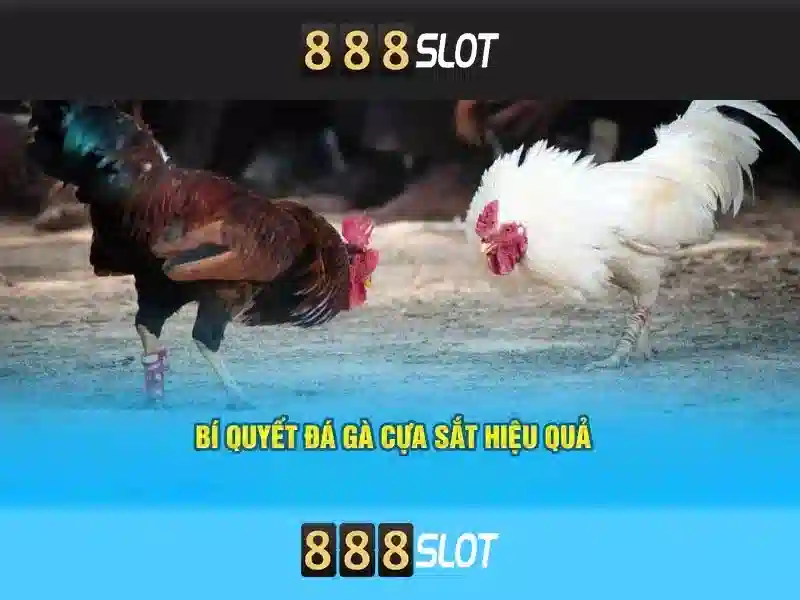 💎rút tiền xn88💎