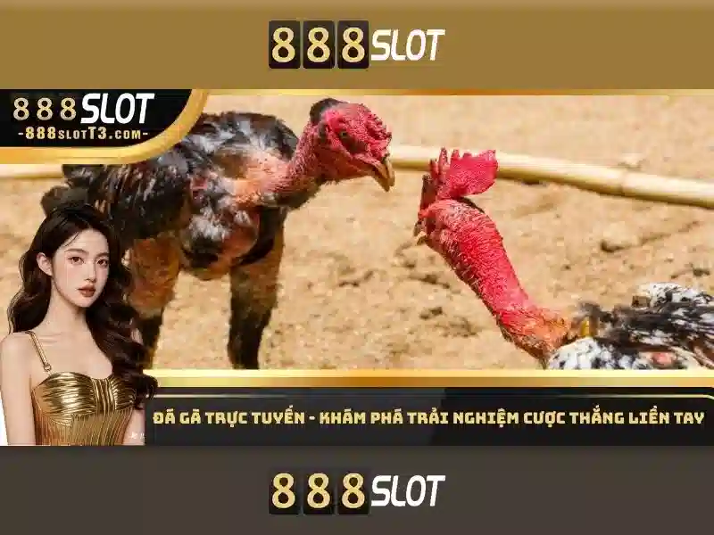 Đăng Ký 888SLOT – Thiết Lập Tài Khoản Slot Cực Dễ Với 888slot Channel - 888slot