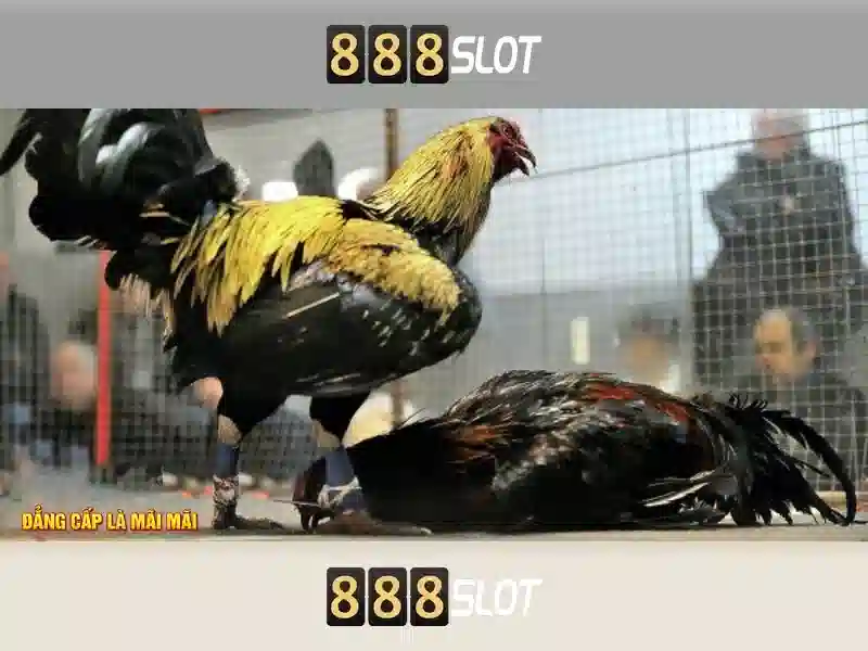 trải nghiệm slot - 888slot