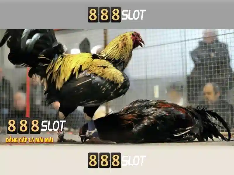 💎game bai ca cuoc💎