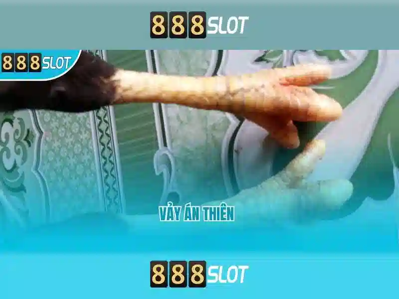 💎cách đăng ký trang cá cược bóng đá💎