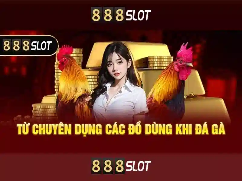 💎nhà cái uy tin.💎