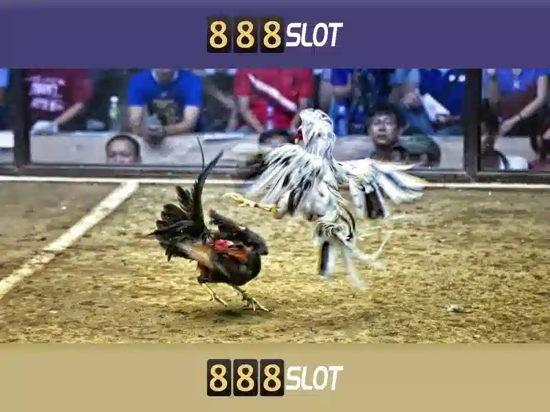 💎slots journey💎