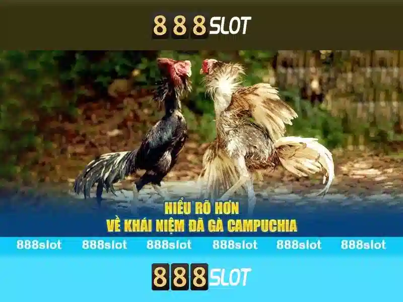 💎winbet nhà cái💎