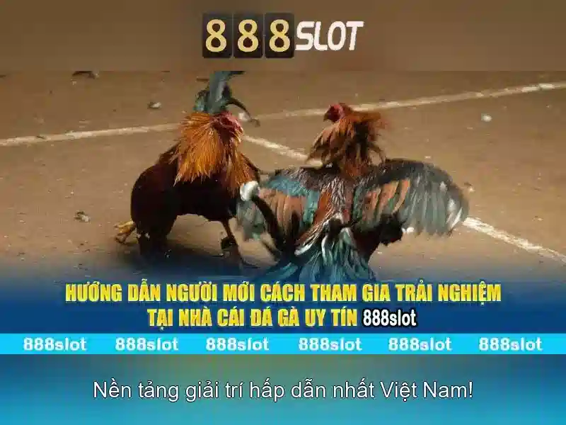 💎cá cược bóng đá ngoại hạng anh💎