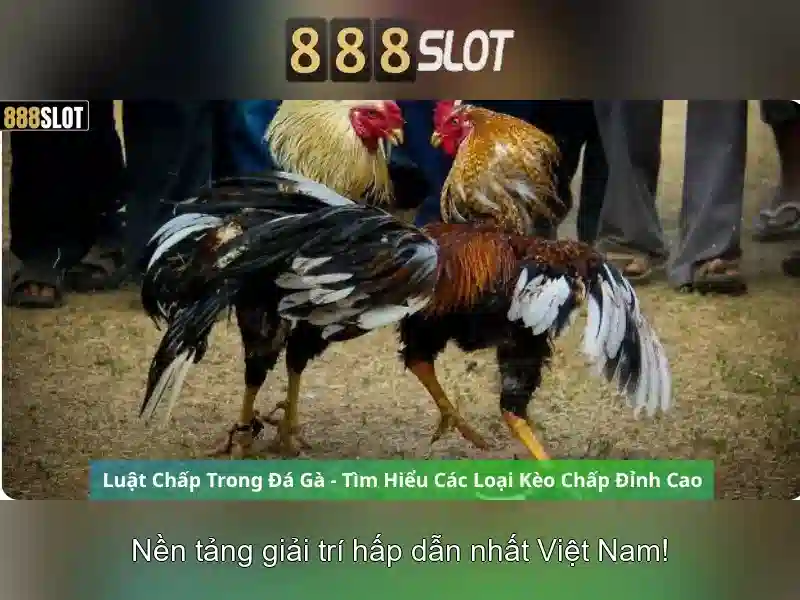 💎vegas high roller slots💎