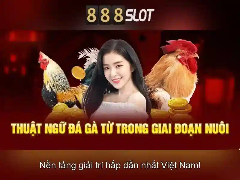 💎game sin88💎 - đăng nhập sin88 - sin88 sin888 asia