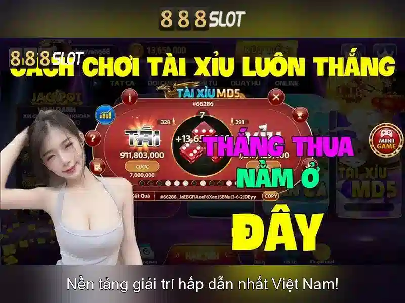💎nhà xe trần phương lào cai💎
