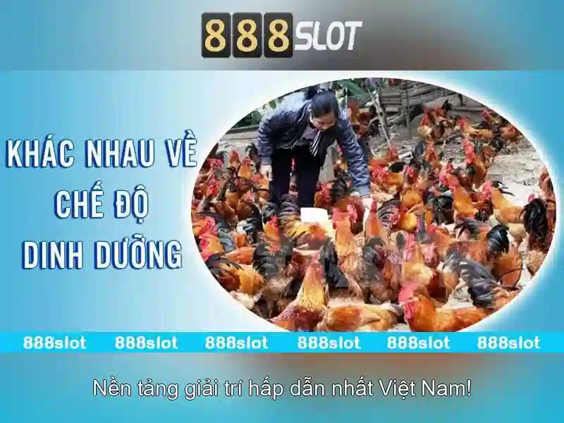 💎gold fish slots casino💎