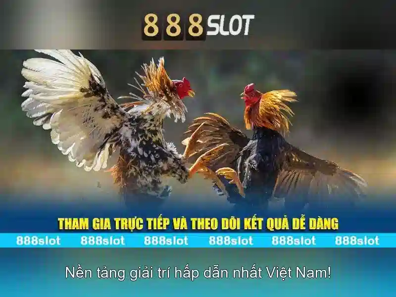 💎188bet trang cá cược💎